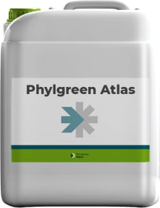 PHYLGREEN Atlas