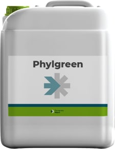 PHYLGREEN