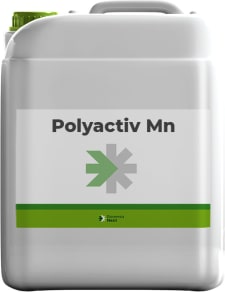 POLYACTIV MN