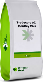 TRADECORP AZ BENTLEY PLUS