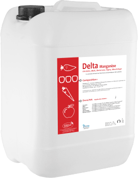 DELTA MANGANÈSE