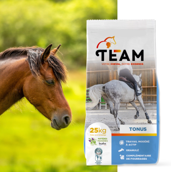 Team equi tonus