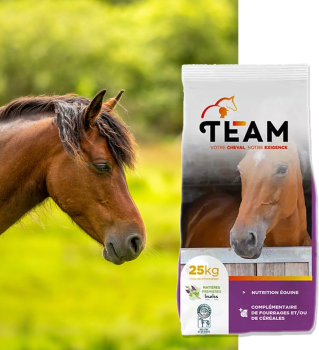 Team equi protéine
