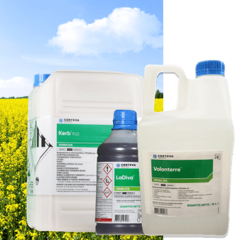 LADIVA + VOLONTERRE + KERB FLO