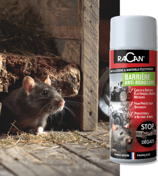 Racan Protection Bombe