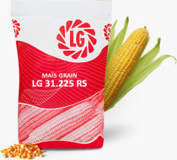 LG 31.225 RS HPP
