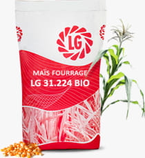 LG 31.224 BIO