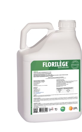 FLORILEGE