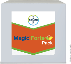 MAGIC FORTE PACK