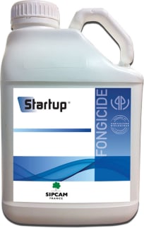 STARTUP