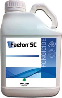 FAETON SC