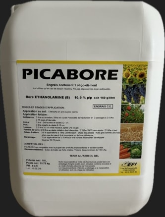PICABORE