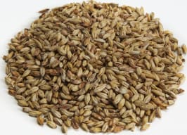 Great Western Malting Malt Mela