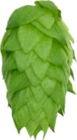 Granulés de houblon T90 - Chinook