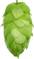 T90 Pellets de houblon - Centennial