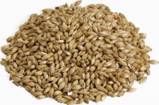 Canada Maltage Malt Premium 2 rangs pour brasseurs