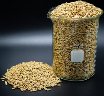 Epiphany Craft Malt Malt de Munich