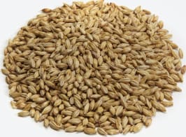 Briess Malting Malt Vienna Goldpils