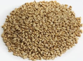 Great Western Malting Malt de blé blanc