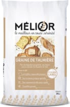 Le Graines de Talmière 