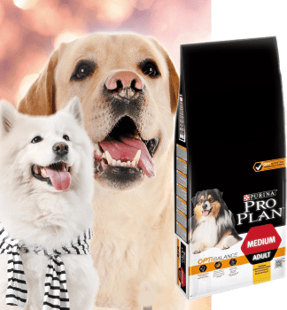 Pro plan medium adult