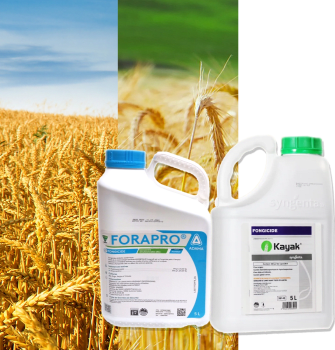 KAYAK + FORAPRO