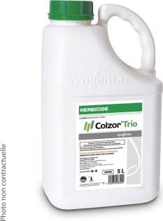 COLZOR TRIO