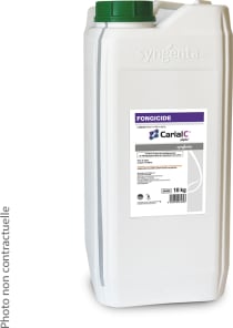 CARIAL C PEPITE