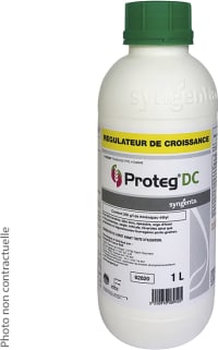 PROTEG DC