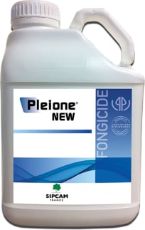 PLEIONE NEW