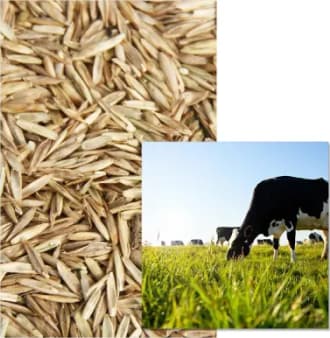 MS DEROBEE QUADR'Y FIX