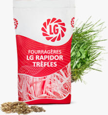 LG RAPIDOR TRÈFLES