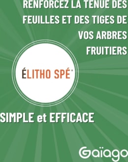 ELITHO SPÉ