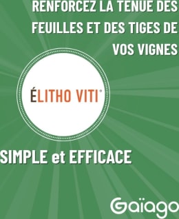 ELITHO VITI