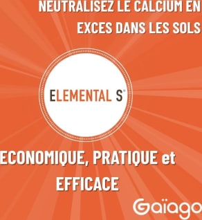 ELEMENTAL S