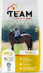 TEAM FLOC