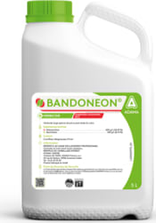 BANDONEON