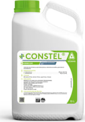 CONSTEL