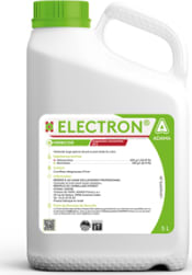 ELECTRON
