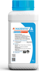 MAXENTIS