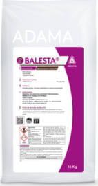 BALESTA