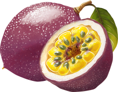 Oregon Fruit Purée - Fruit de la passion