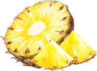 Oregon Fruit Purée - Ananas