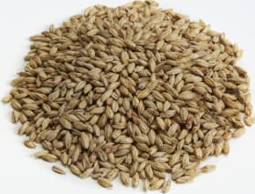 Great Western Malting Malt de Munich Biologique Certifié