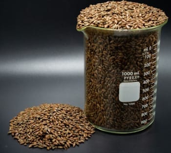 Epiphany Craft Malt Malt au chocolat amer doux