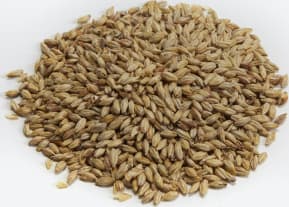 Briess Malting Malt de Munich Bonlander