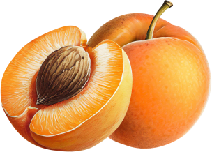 Oregon Fruit Purée - Abricot