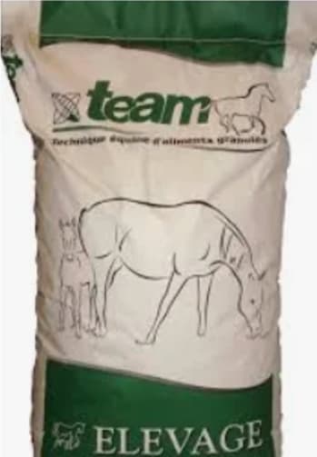 Team Equi Stud (SCU)