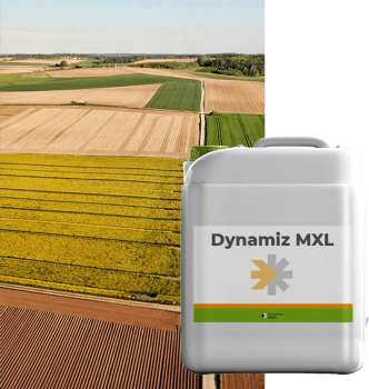 DYNAMIZ MXL