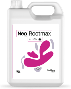 Neoforce ROOTMAX AntiOX